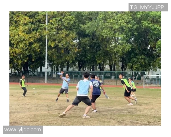 南京飞盘队的战术演变与团队精神的深度解析